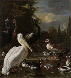 A Pelican and other Birds near a Pool, Known as ‘The Floating Feather’ by Melchior d'Hondecoeter