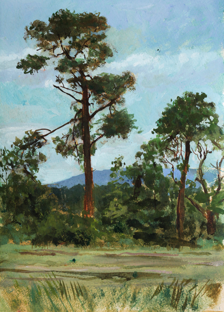 Exhibit image