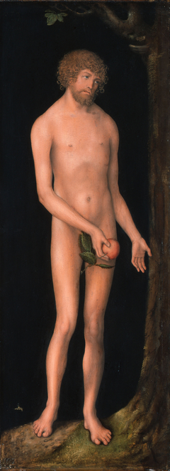 Adam by Lucas Cranach the Elder