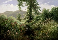 Catskill Mountains, Shandaken, New York by Thomas Hiram Hotchkiss