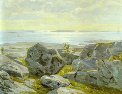 Coast view from Alandia by Victor Westerholm