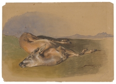 Dead Doe by Friedrich Carl von Scheidlin