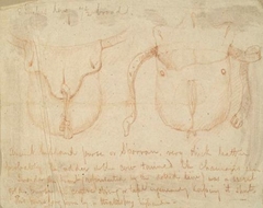 Detailed Drawing of a Sporran - John Phillip - ABDAG014484.363 by John Phillip