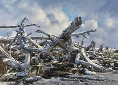 Driftwood Snag    15  5/8"  x 22" by Brian LaSaga