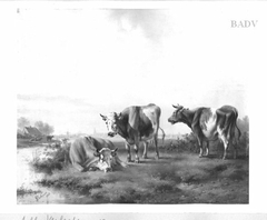 dutch-landscape with three cows by Albertus Verhoesen