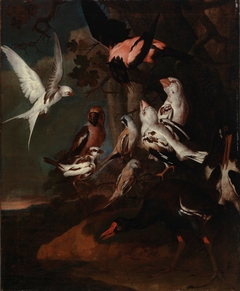 Exotic birds by Karl Wilhelm de Hamilton