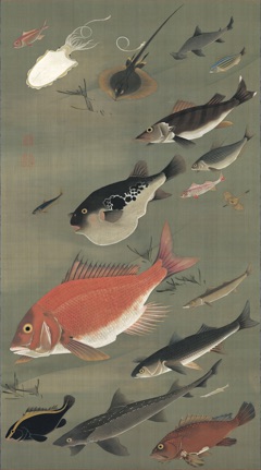 Fish by Itō Jakuchū