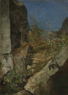 Gräser zwischen Felsen by Hans Thoma