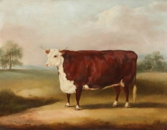 Hereford Cow by William Henry Davis