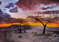 Namibia Sunset Trees by Julie Sneeden