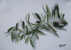 olive_oil_pastel by Chrisa Kyriazi