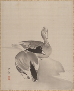 Pair of Ducks by Kawabata Gyokushō