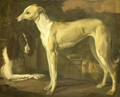 Portrait of a greyhound and a spaniel by Jan Weenix