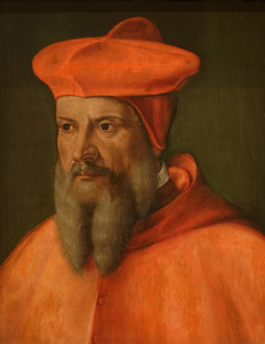 Portrait of cardinal de Tournon by Giovanni Capassini