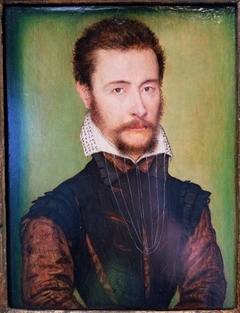 Portrait of the Count d'Angoulême by Corneille de Lyon