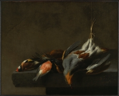 Still Life of Dead Birds by Jan Vonck