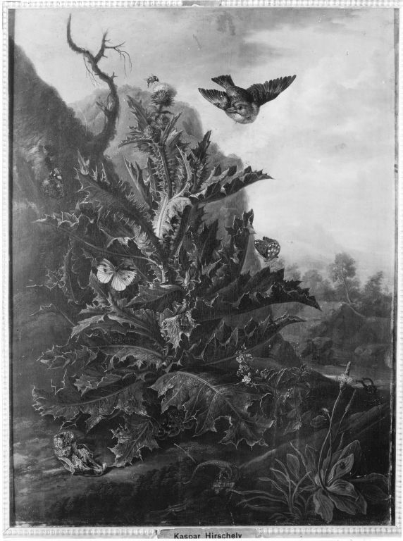Exhibit image