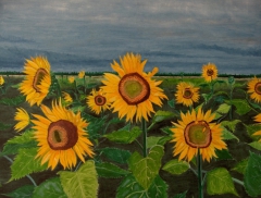 Stormy Sunflowers by Josh Goehring