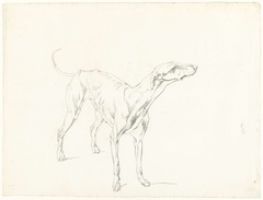 Studie van een staande hond, naar rechts by Hendrik Voogd