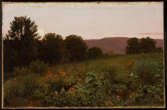 Sunset on the Meadow by William Trost Richards