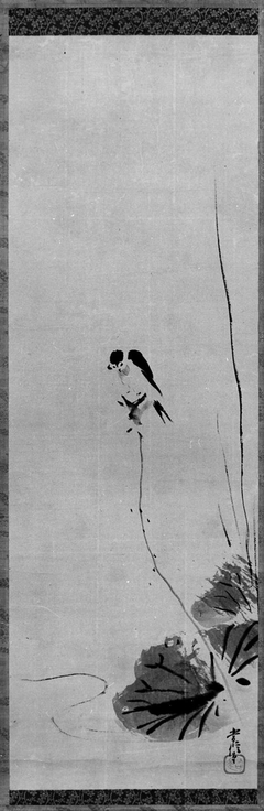 Swallow by Kanō Tsunenobu