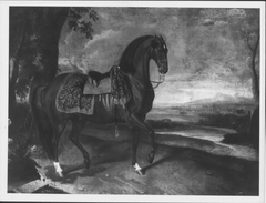 The Favourite Horse of the Emperor Ferdinand by Johann Georg de Hamilton