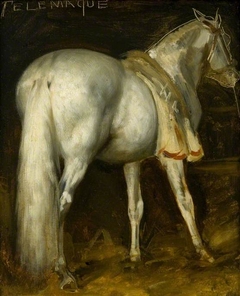 The Grey Horse 'Telemachus' by Théodore Géricault