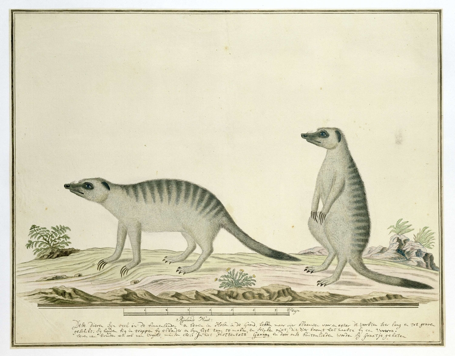 Exhibit image