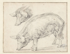 Twee studies van een zwijn by Unknown Artist