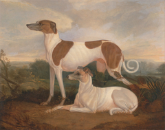 Two Greyhounds in a Landscape by Charles Hancock