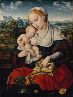 Virgin and Child by Joos van Cleve