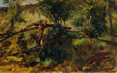 Waldweg mit Zaun by Johann Till the Younger