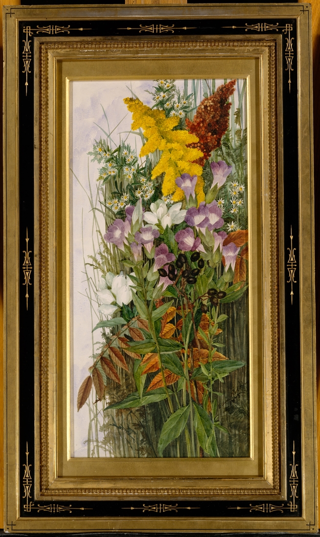 Exhibit image