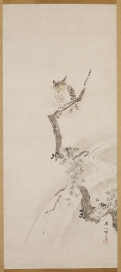 An Owl Perched in a Tree by Hanabusa Itchō