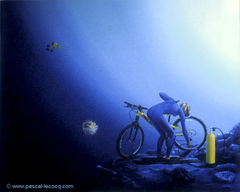 CREVÉ ENCORE! - Flat tire again - by Pascal by Pascal Lecocq