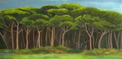 Dark Trees, Janas, Portugal by Thelma Chambers