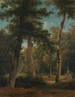 Een bos te Fontainebleau by Georgius Jacobus Johannes van Os