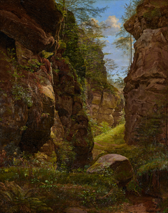 Felsenschlucht im Uttewalder Grund in der Sächsischen Schweiz by August Heinrich