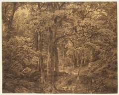 Forest Interior by William Trost Richards