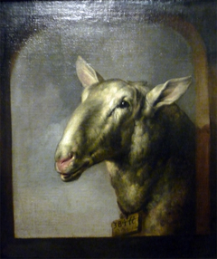 Head of a Sheep by Paulus Potter