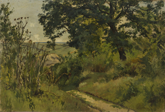 Landscape. Study by Ivan Shishkin