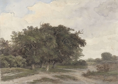 Landschap met bomen by Johannes Warnardus Bilders