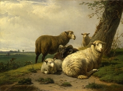 Landschap met schapen bij een boom by Frans Lebret