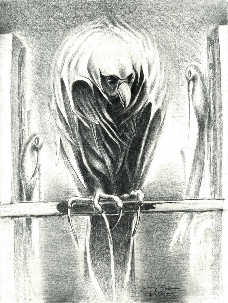 Exhibit image