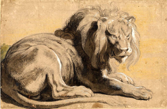 Lion by Peter Paul Rubens