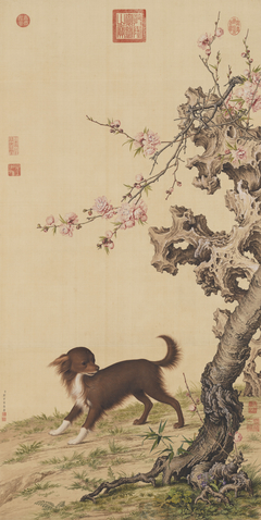 Long-haired Dog Beneath Blossoms by Giuseppe Castiglione