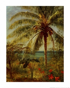 Palm Tree, Nassau by Albert Bierstadt by Albert Bierstadt