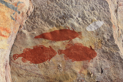 Red ochre fish by Anonymous