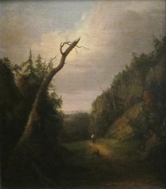 Scene near Hawk's Nest by Worthington Whittredge