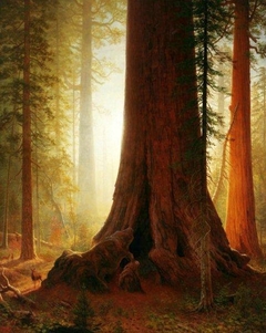 Sequoia by Albert Bierstadt